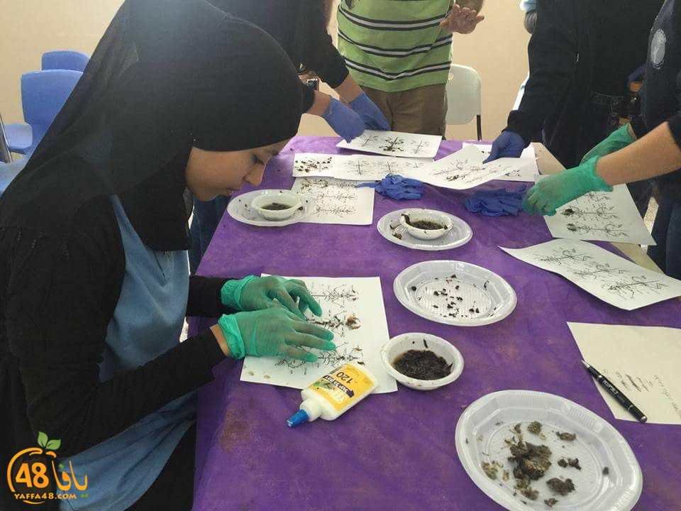 tomashin hlud (13).jpg